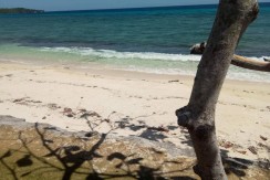 Beach Lot for Sale in Siquijor